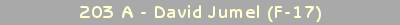 203 - David Jumel (F-17)
