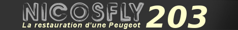 NicosFly 203