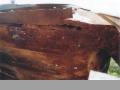 restauration 203