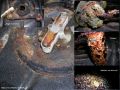 restauration 203
